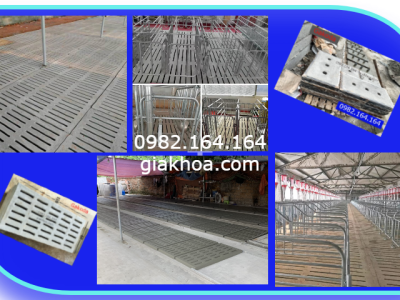 Tấm đan lót sàn chuông lợn tại hà nội